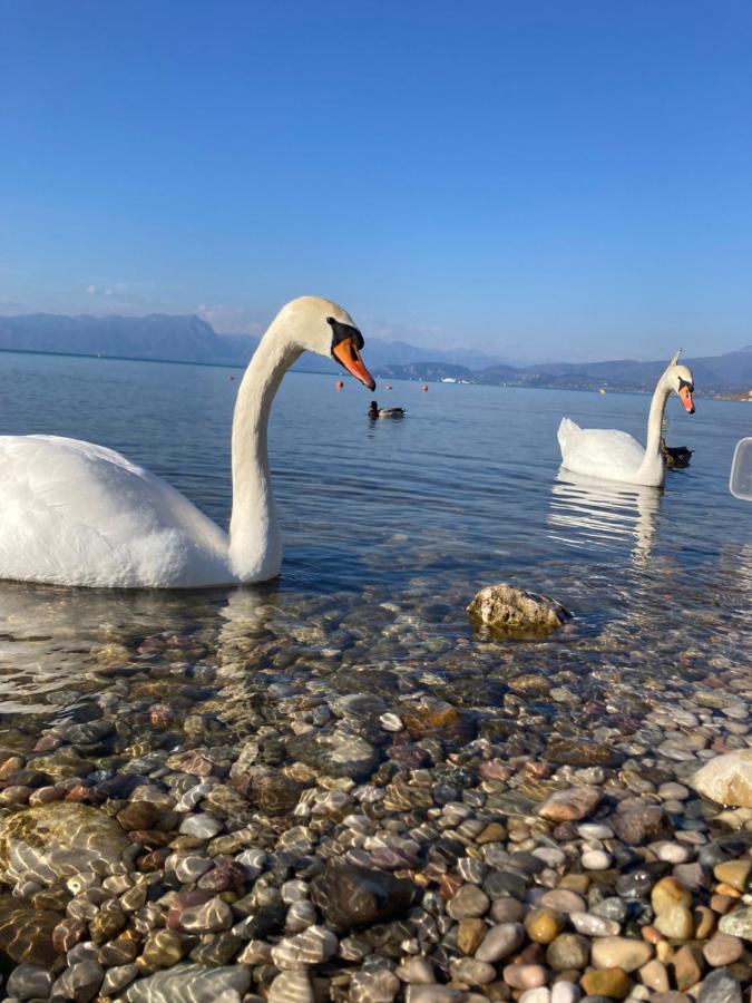 Garda Art&Lake Peschiera del Garda Exterior photo